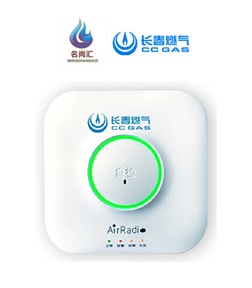2003网站太阳集团报警器（自然气）